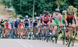 LTDL perlu lebih RM15 juta
