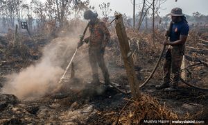 Fire at Kuala Langat Selatan Forest Reserve extinguished
