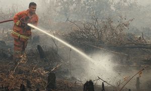 COMMENT | Igniting community awareness to prevent peat fires