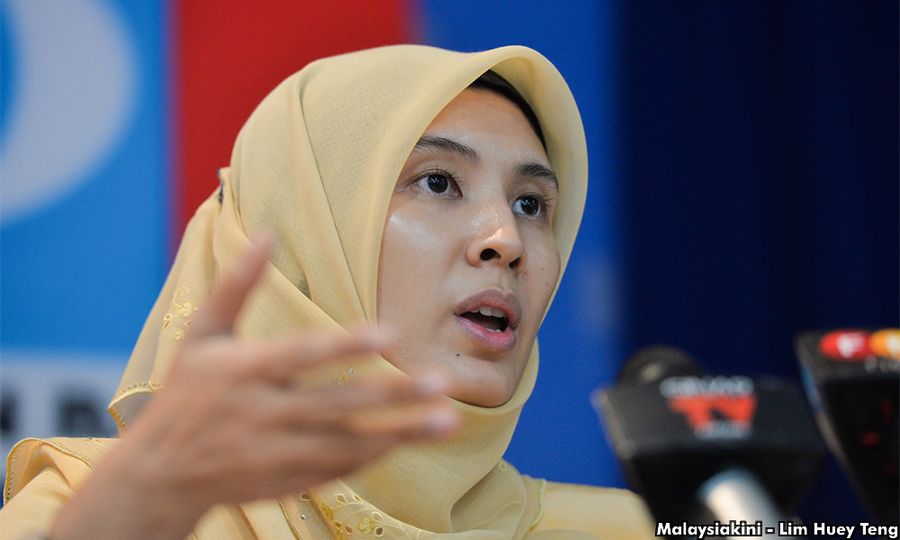Nurul Izzah: Let’s focus on improving messaging, economic schemes 