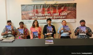 NGO desak siasat pembabitan firma Malaysia musnahkan hutan di Papua