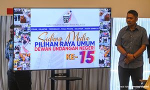 PRN: Selangor paling ramai pengundi muda, paling tua