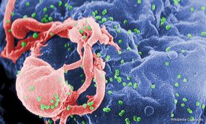'Peningkatan HIV pelajar IPT cerminan kegagalan pendidikan seksual'