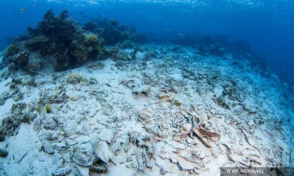 LETTER | A perfect storm - Our oceans are drowning