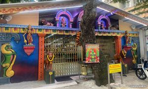 ADUN SPEAKS | Time to institutionalise temple management
