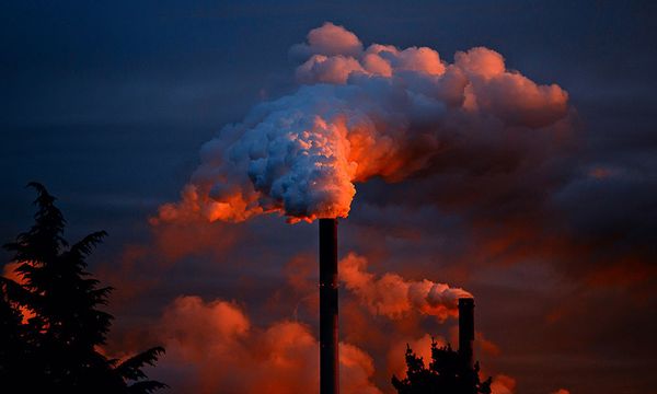 COMMENT | Realising circular carbon economy via microalgae