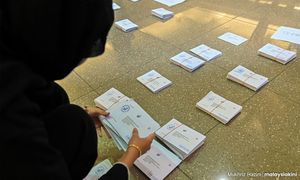 14-day campaigning will put pressure on postal voters, says Bersih