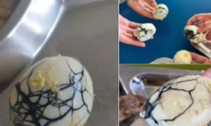 Mara siasat kontraktor kantin MRSM hidang telur 'busuk'