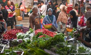 COMMENT | Even in Tambun, farmers are evicted and food security undermined