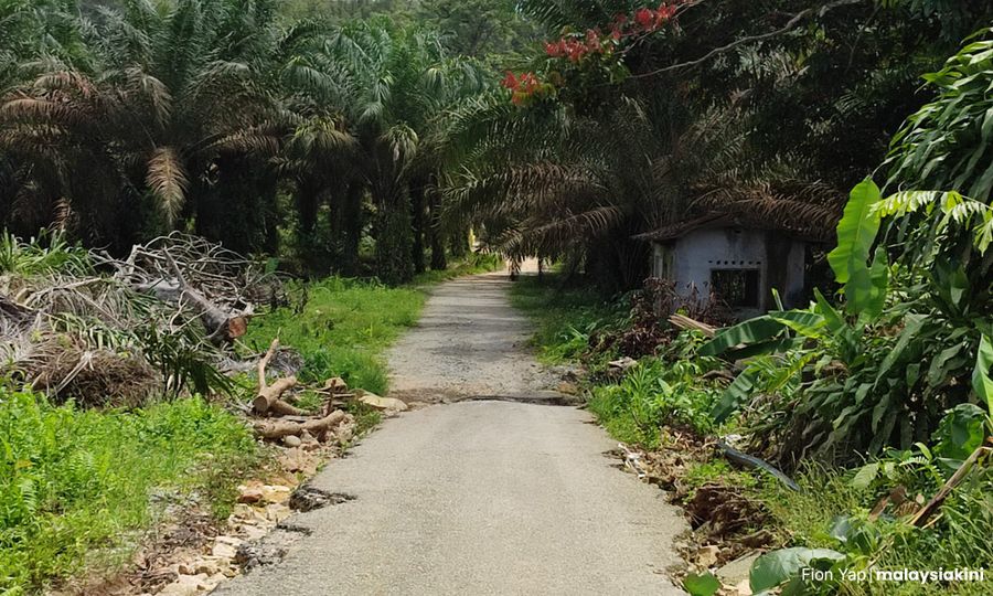 M'sia, Indonesia to meet Europe counterparts on deforestation in August