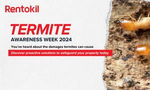 Worried about Termite Activity in your Property? Here are some Solutions for you!