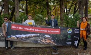 环保组织赴日踩场爆争执，砂森林局网上斥“国家叛徒”