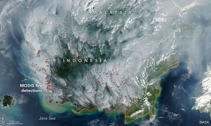 SNAPSHOT | Serian's air quality worsens; green activists protest at Indonesian embassy over forest fires 