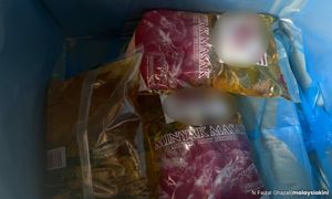 From Klang Valley to K'tan, subsidised cooking oil abundant in Pekan Golok