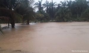 Pahang sends flood aid to Johor