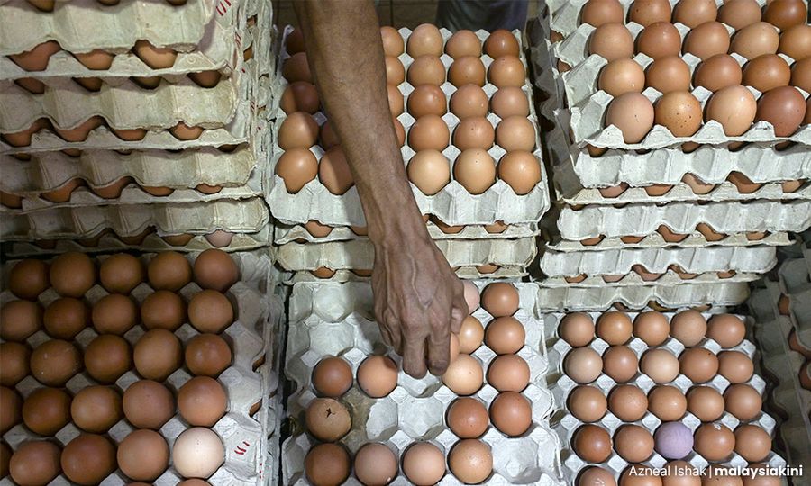 No more egg subsidy on Aug 1