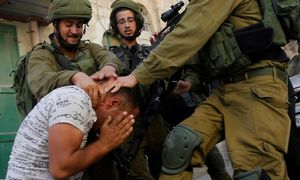 Tentera Israel guna anjing serang rakyat Palestin