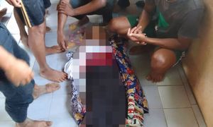 Orang Asli boy trampled to death in Pahang elephant attack