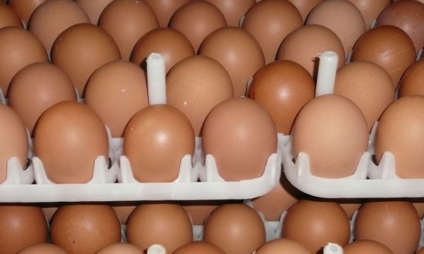 Eggs rationing at some British supermarkets as avian flu hits supply