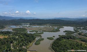 All recommendations to improve Tasik Chini implemented - exco