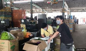 文告｜中小型企业发展艰难，政府应出手支持