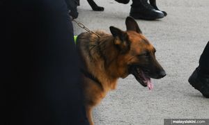 Polis kesan lelaki bantu siasatan kes bunuh sumbat dalam bagasi