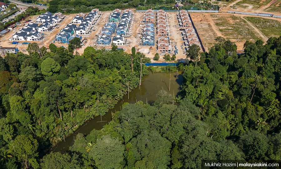 Another Selangor forest at risk of being developed