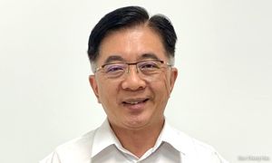 Flag gaffe: DAP's Boo wants council president probed for overreach
