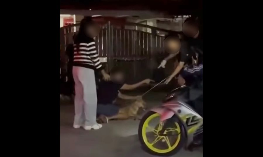 Kertas siasatan kes anjing mati dirujuk pada timbalan pendakwaraya
