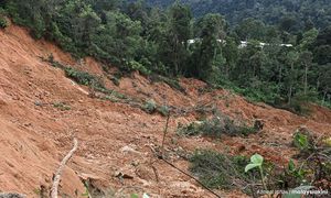 Tanih tepu dipercayai punca utama tanah runtuh di Batang Kali - Pakar
