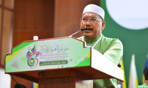 PAS man wonders if caning will deter environmental crimes