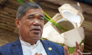 Trend cenderung jual kelapa muda antara punca harga santan naik