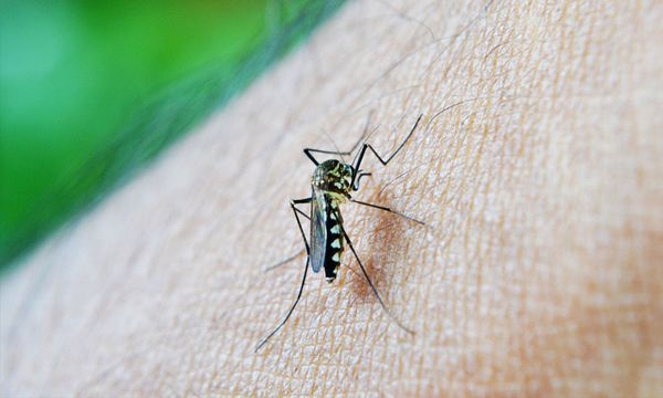 COMMENT | Technology helps tackle surging dengue cases