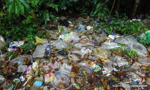 COMMENT | Can trash be halal?