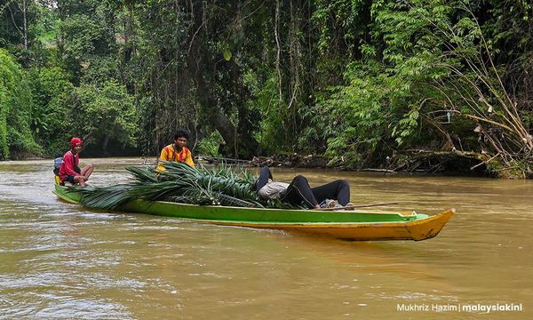 PKR Youth urges Pahang to scrap logging project that threatens Orang Asli